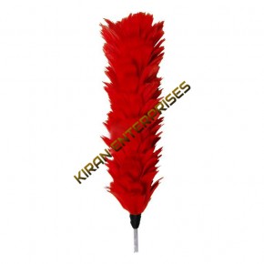 Palm/Feather